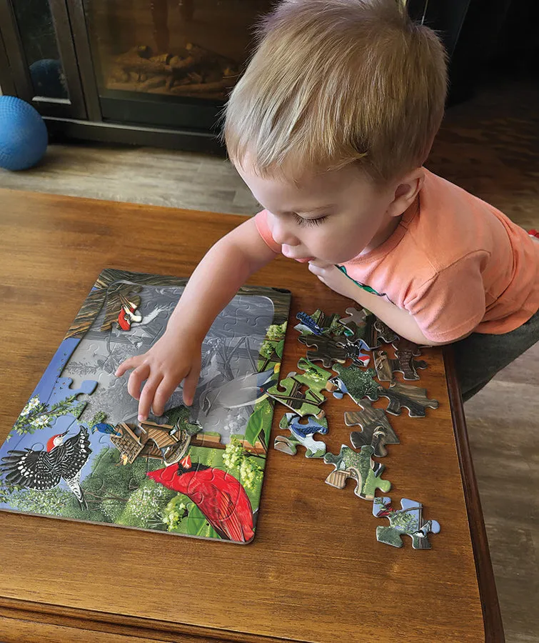 Cobble Hill Around the Birdfeeder puzzle tava 35 piese copii