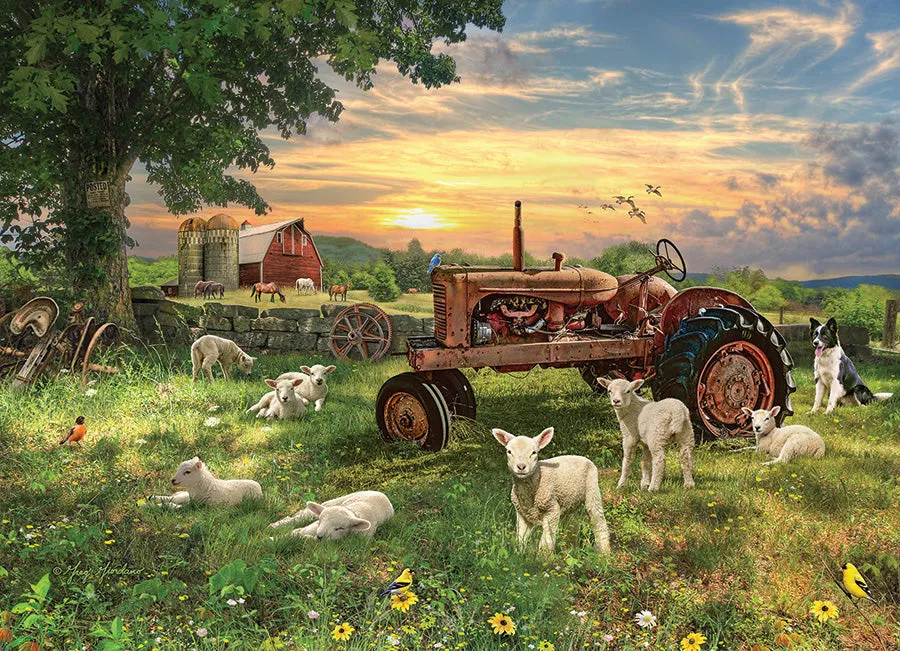 Cobble Hill Field at Sunrise puzzle 1000 piese ferma