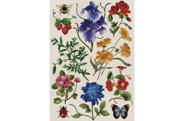 Mosaic Puzzles Botanical Studies puzzle din lemn 100 piese floral