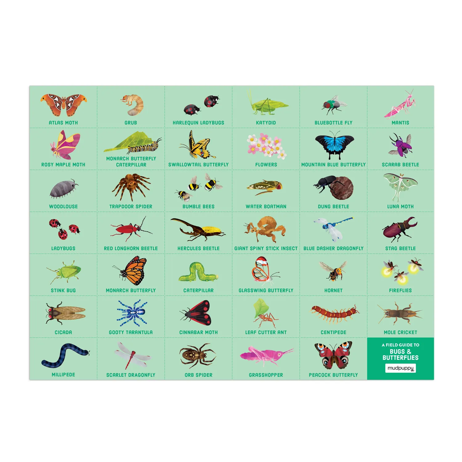 Mudpuppy Bugs & Butterflies puzzle 64 piese search & find