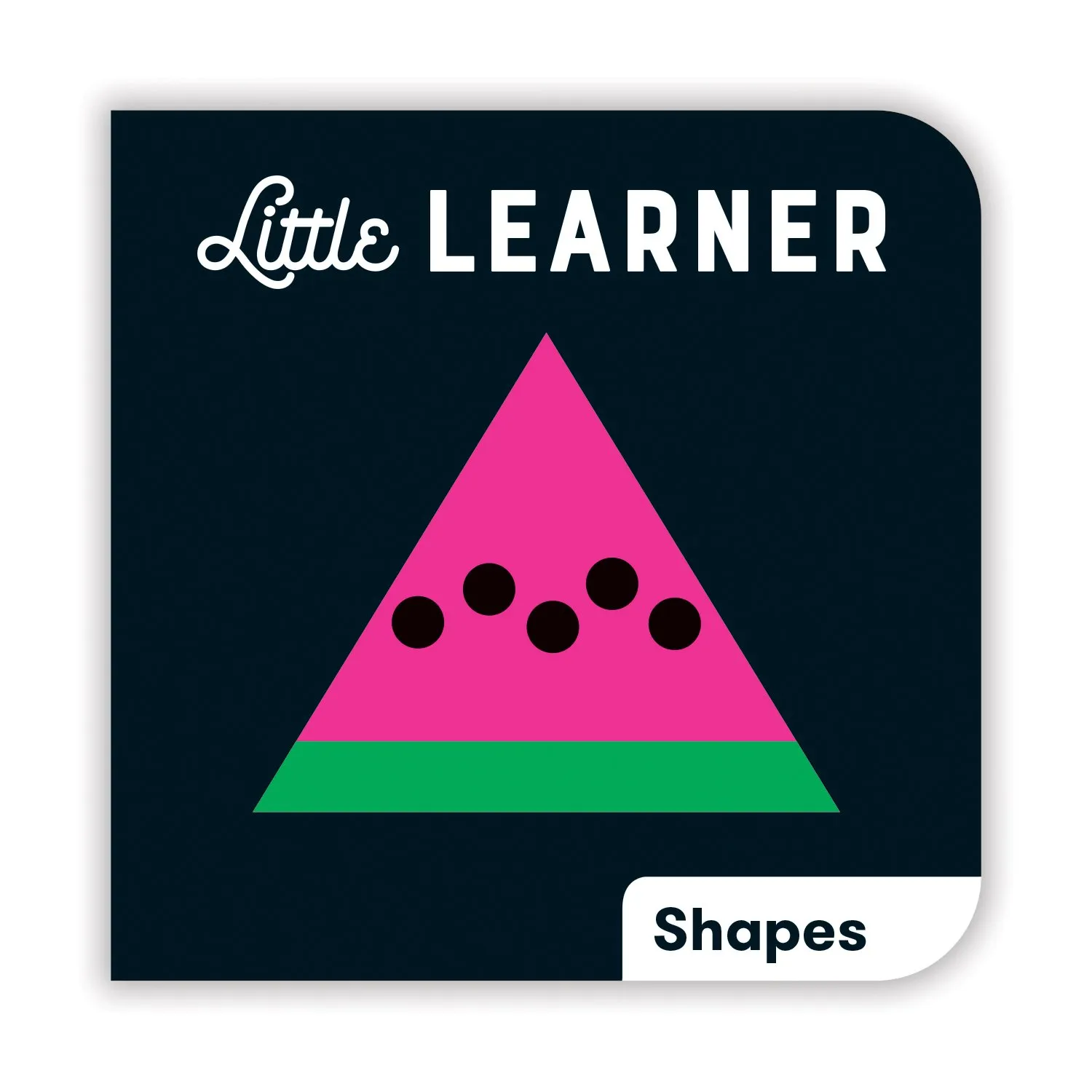 Mudpuppy Little Learner set 4 carti carton bebe