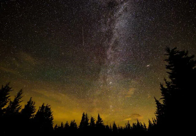 Mosaic Puzzles Perennial Perseids puzzle lemn 1000 piese