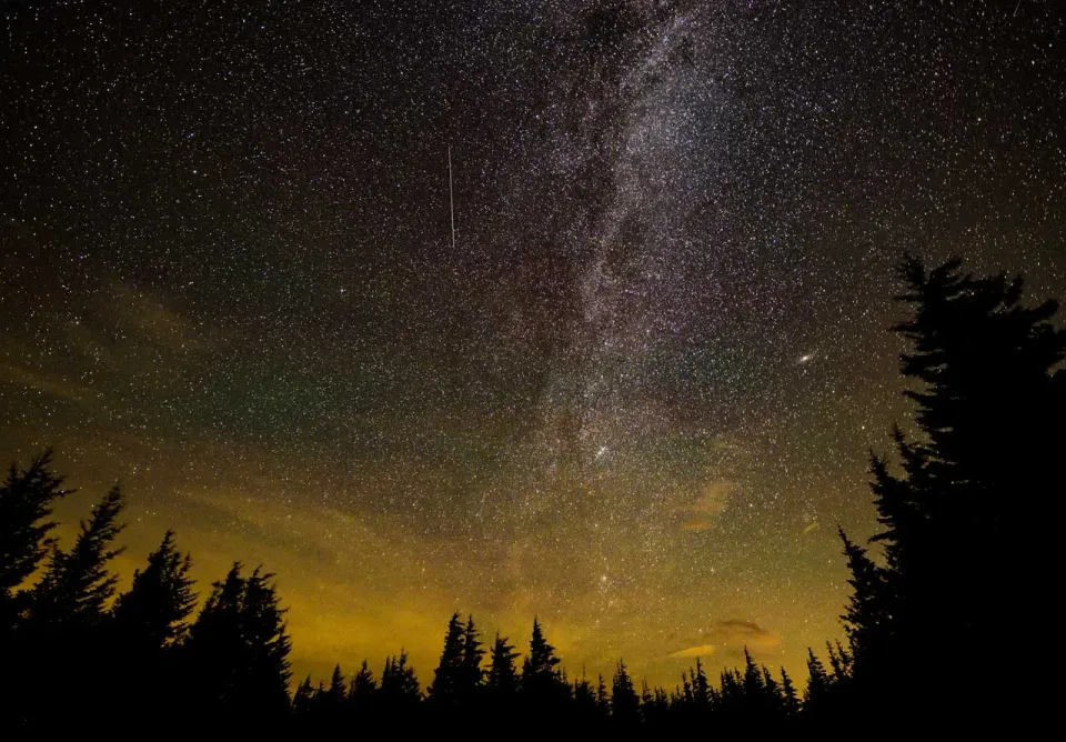 Mosaic Puzzles Perennial Perseids puzzle lemn 1000 piese