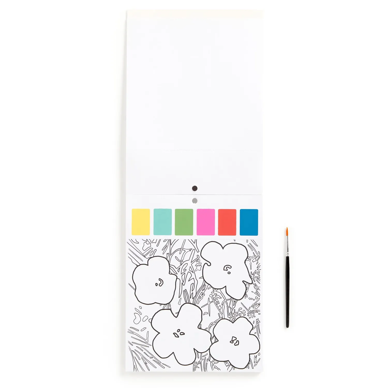 Mudpuppy Andy Warhol kit pictura 10 carduri acuarela
