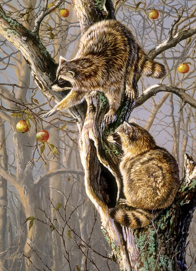 Cobble Hill Ringtail Raiders puzzle 1000 piese ratoni