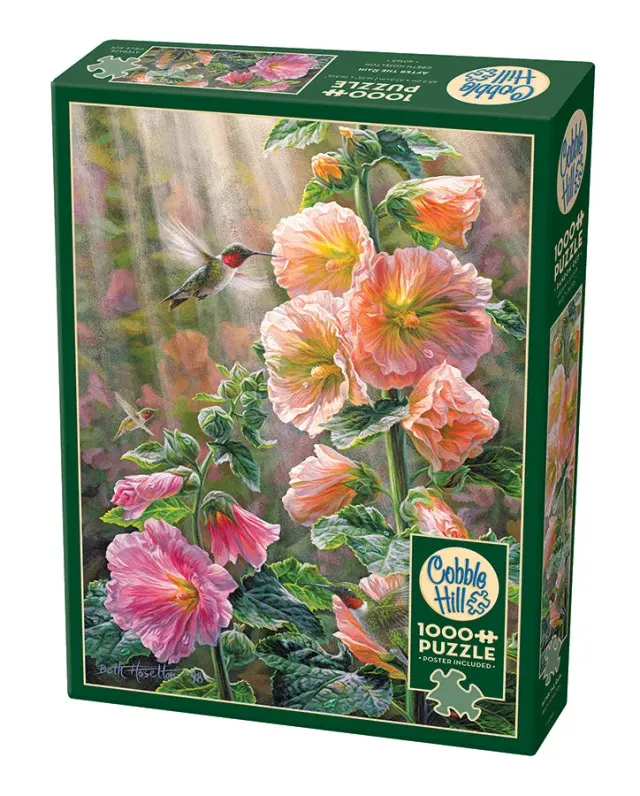 Cobble Hill After the Rain puzzle 1000 piese colibri