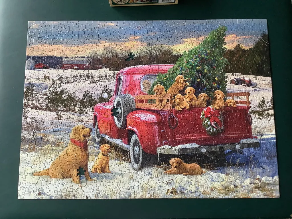 Cobble Hill Family Outing puzzle 1000 piese iarna