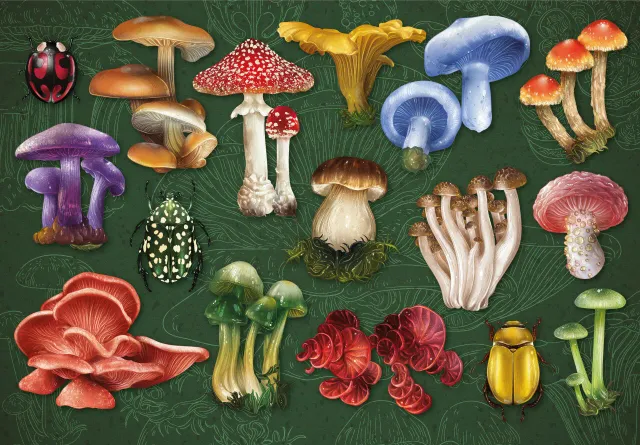 Mosaic Puzzles Mushrooms & Beetles puzzle lemn 100 piese