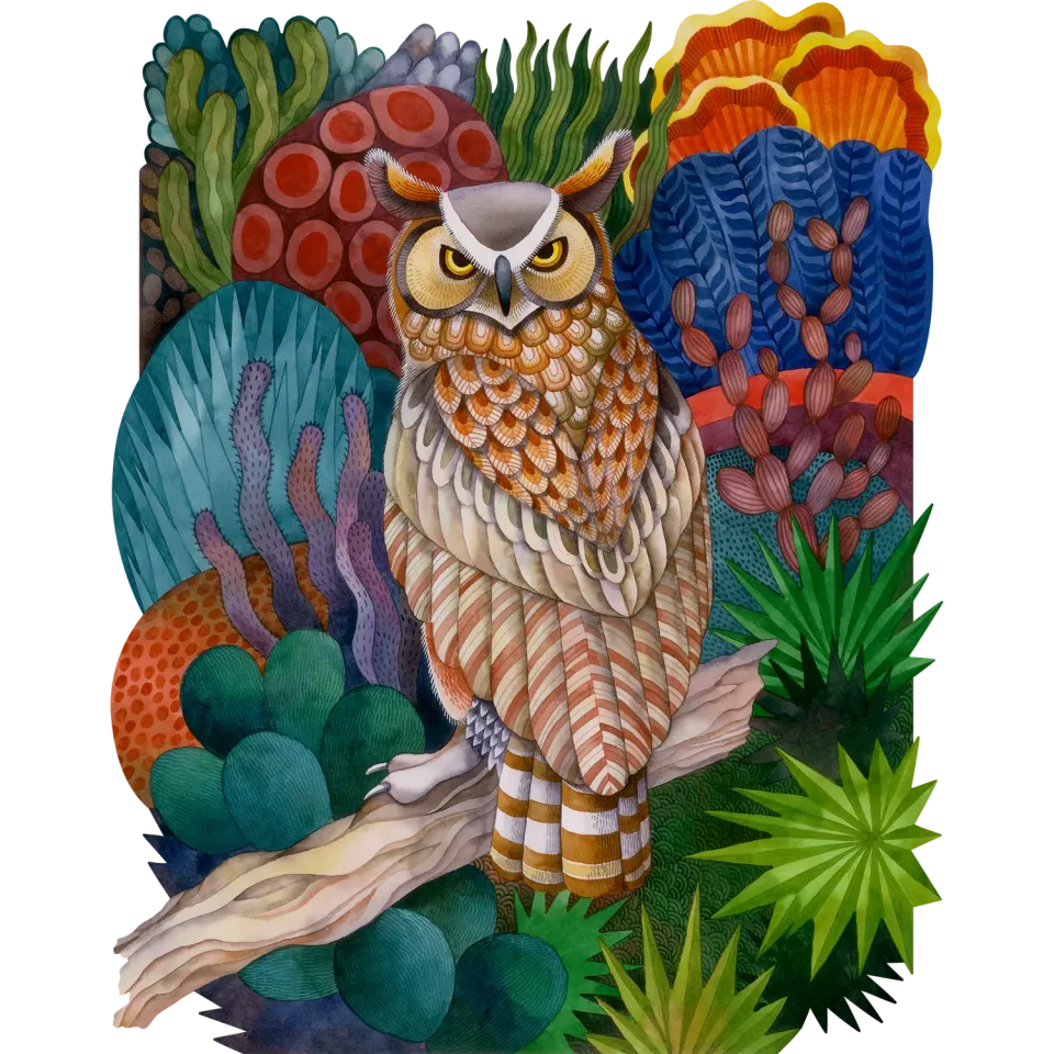 Hidden Piece Puzzles Desert Owl puzzle 605 piese forme neregulate
