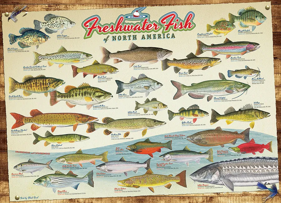Cobble Hill Freshwater Fish puzzle 1000 piese pești