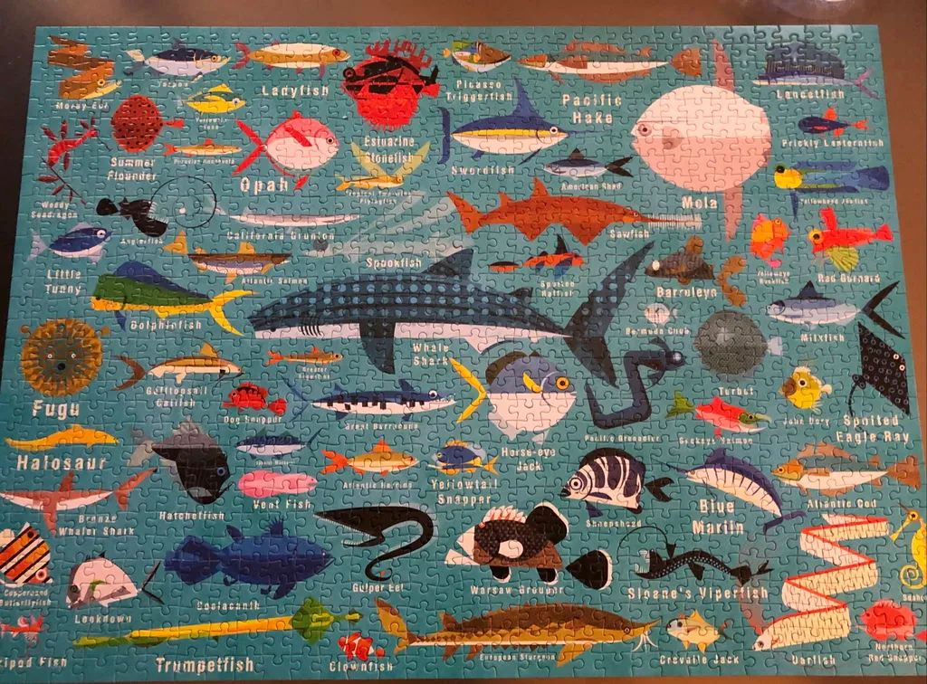 Mudpuppy Ocean Life puzzle 1000 piese pesti