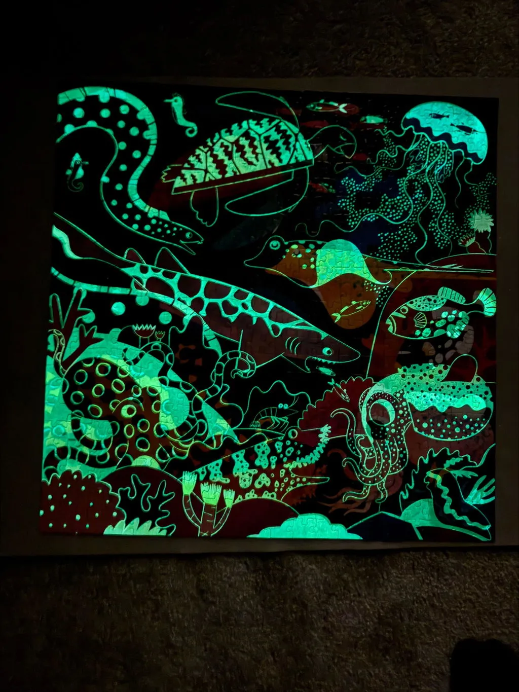 Mudpuppy Ocean Illuminated puzzle 500 piese fosforescent