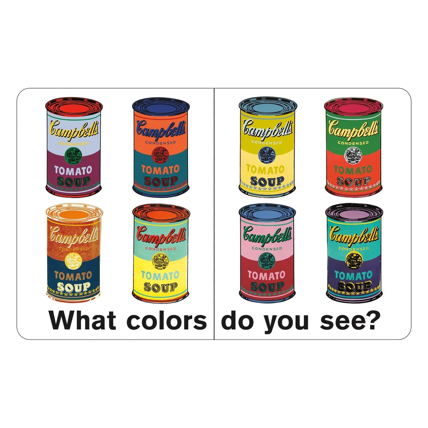 Mudpuppy Andy Warhol What Colors Do You See? carte culori