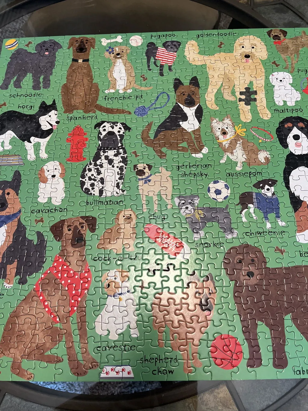 Mudpuppy Doodle Dog And Other Mixed Breeds puzzle 500 piese caini