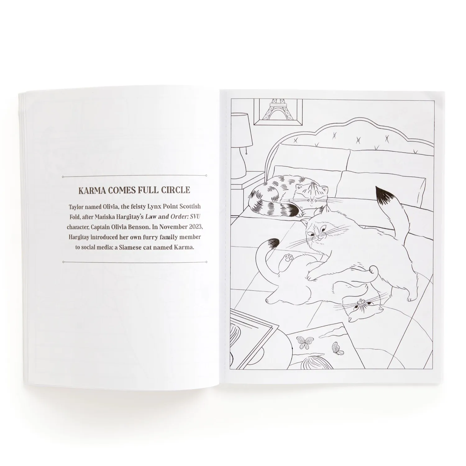 Mudpuppy Karma is Three Cats carte de colorat pisici