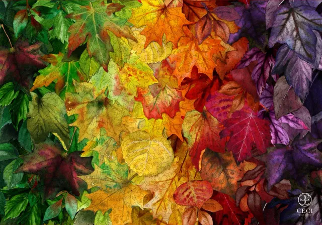 Mosaic Puzzles Ombre Fall Foliage puzzle lemn 500 piese