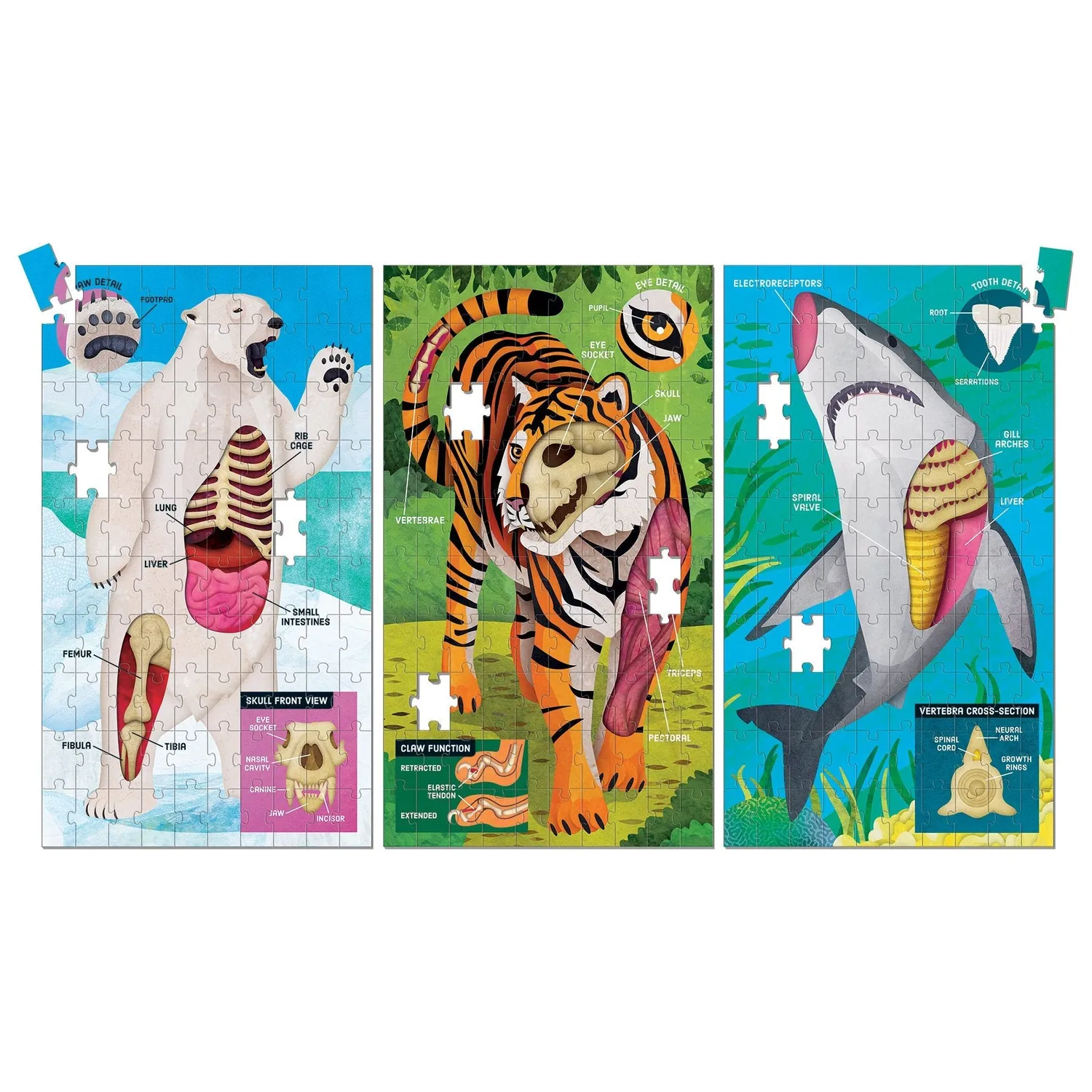 Mudpuppy Animal Anatomy set 3 puzzle-uri 100 piese