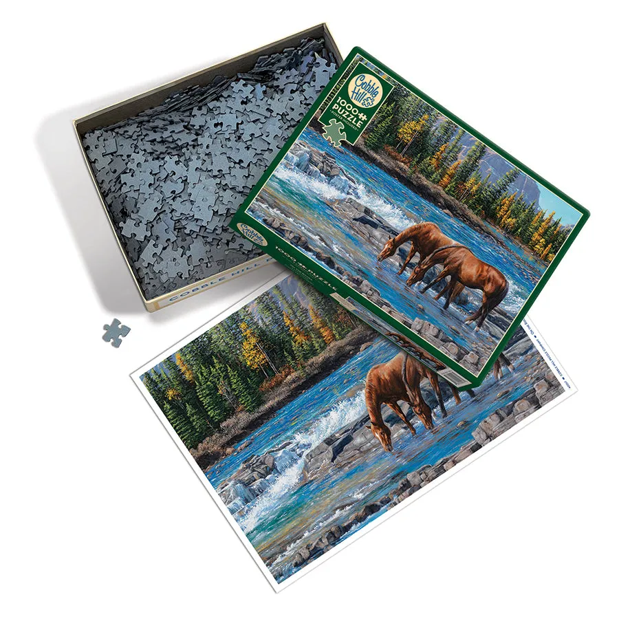 Cobble Hill On the Rocks puzzle 1000 piese toamna cai