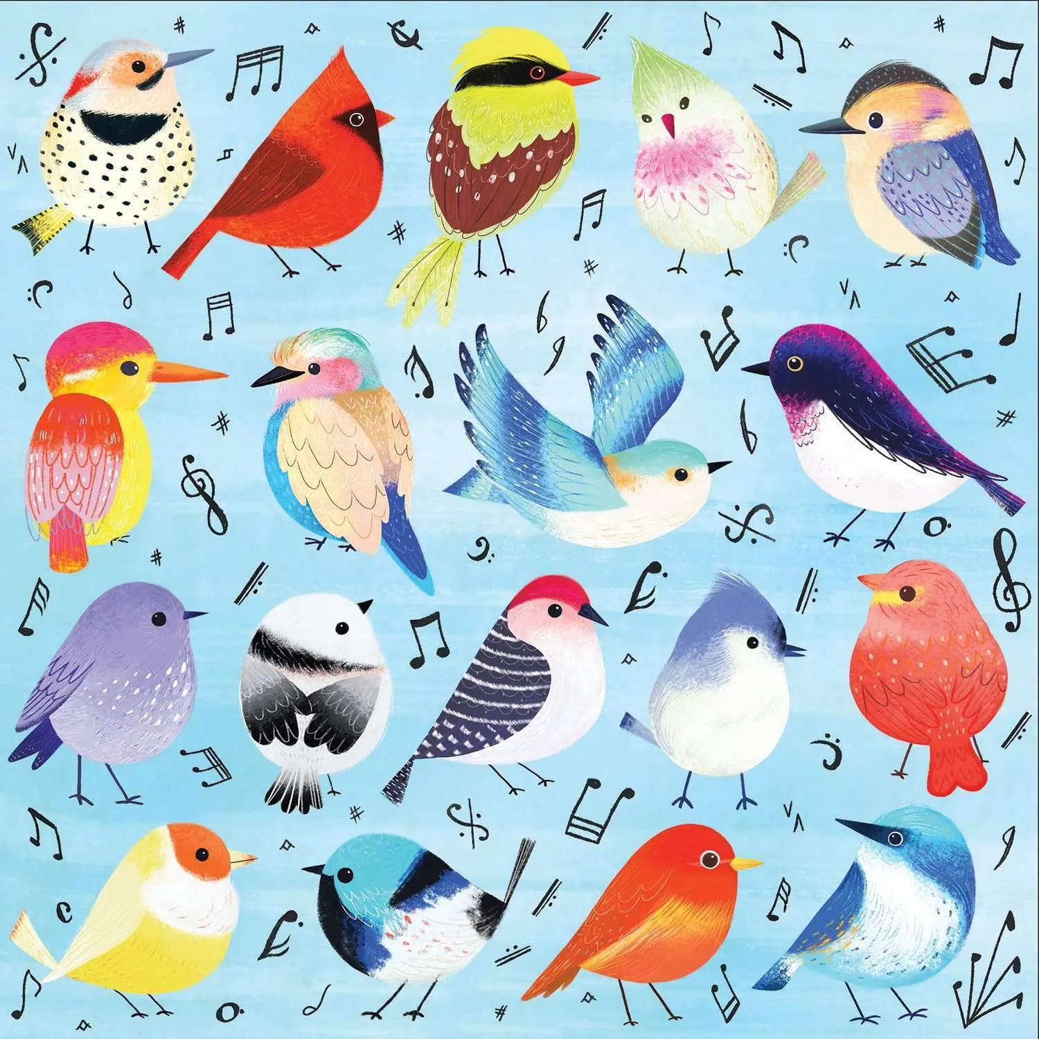 Mudpuppy Songbirds puzzle 500 piese pasari