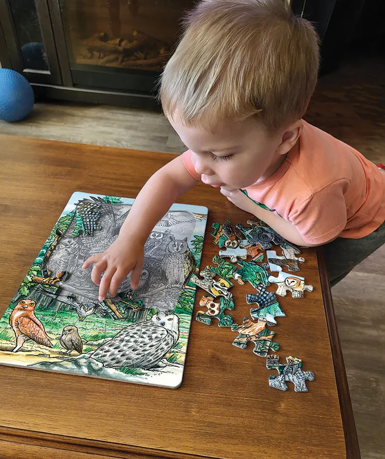Cobble Hill North American Owls puzzle tava 35 piese copii