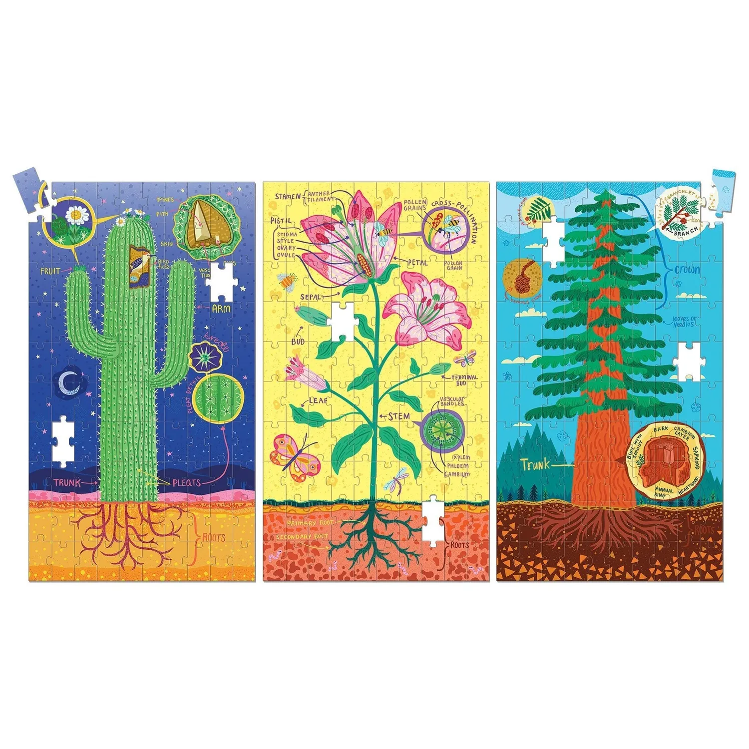 Mudpuppy Plant Anatomy puzzle copii 3x100 piese