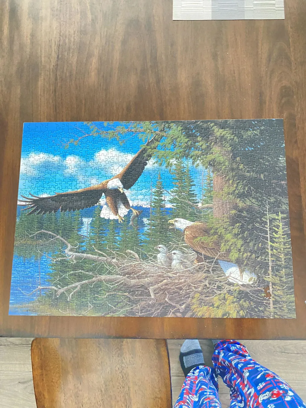 Cobble Hill Nesting Eagles puzzle 1000 piese pasari
