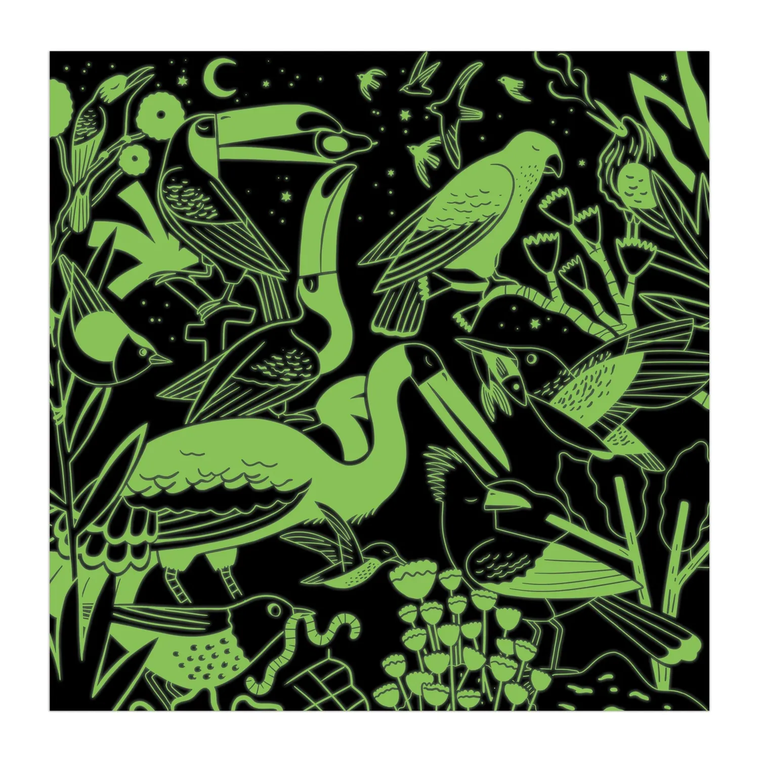 Mudpuppy Birds Illuminated puzzle 500 piese fosforescent