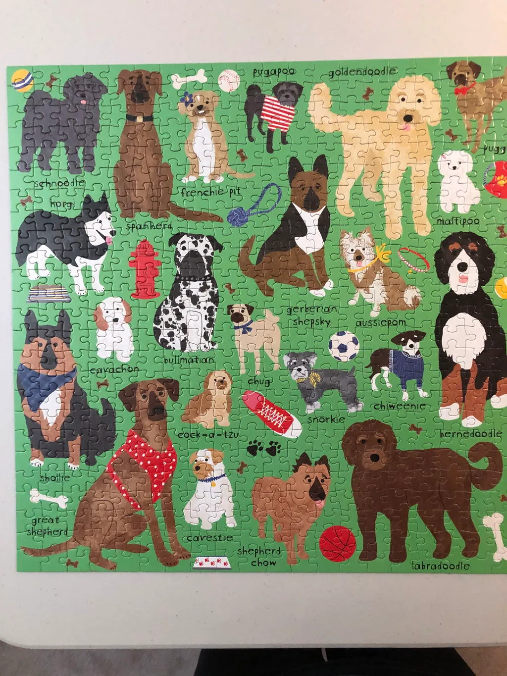 Mudpuppy Doodle Dog And Other Mixed Breeds puzzle 500 piese caini