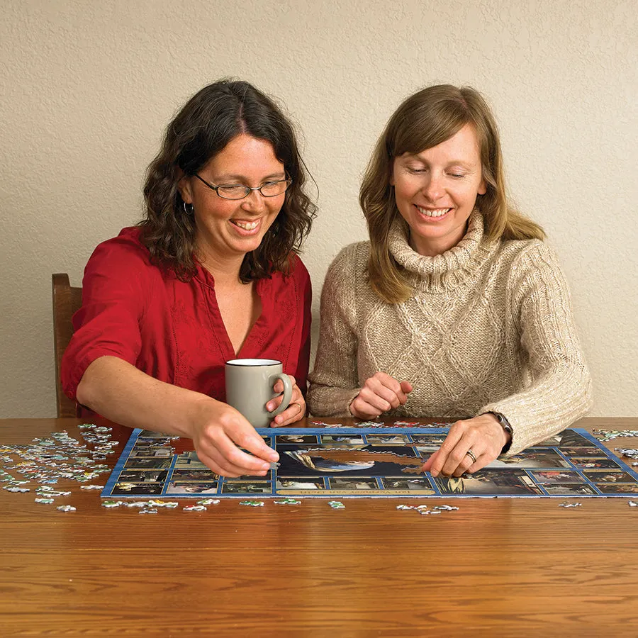 Cobble Hill Vermeer puzzle 1000 piese arta