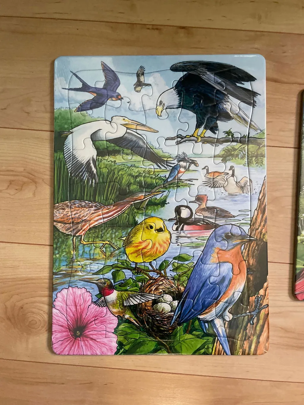 Cobble Hill Around the Birdfeeder puzzle tava 35 piese copii