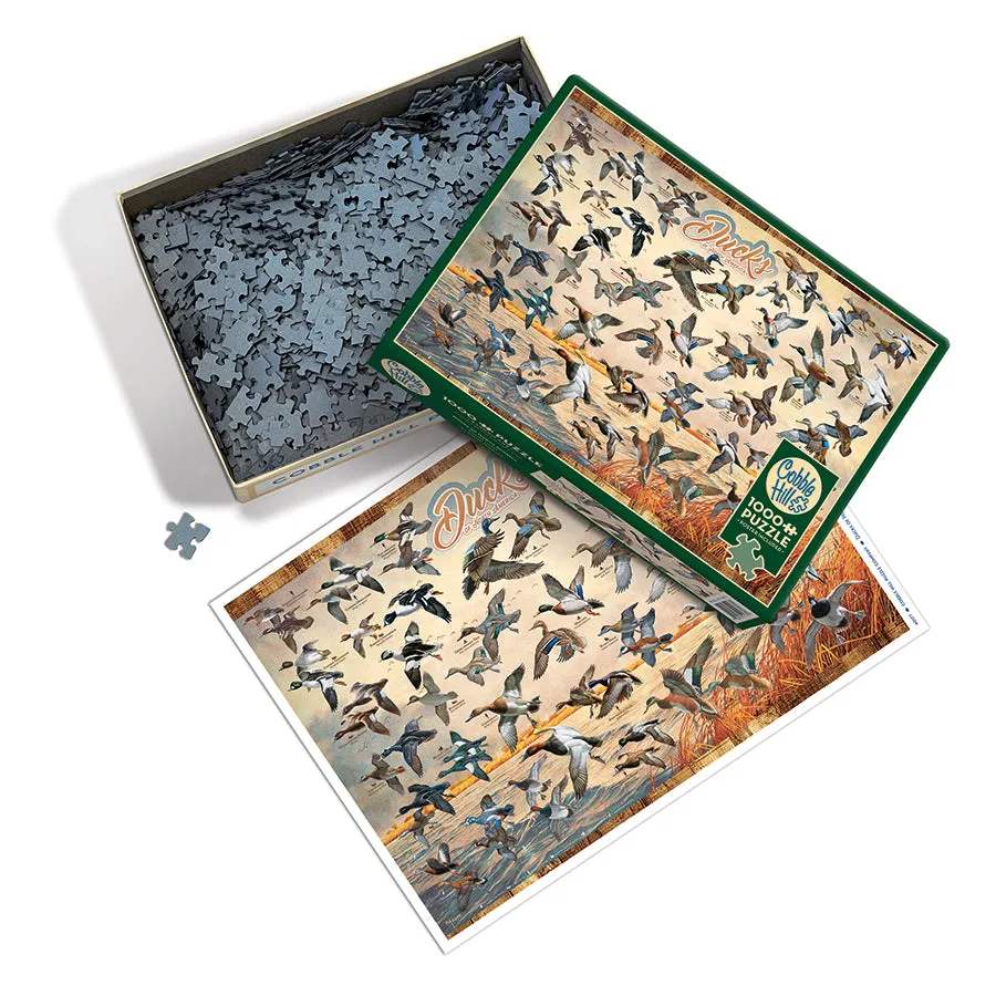 Cobble Hill Ducks North America 40177 puzzle 1000 piese