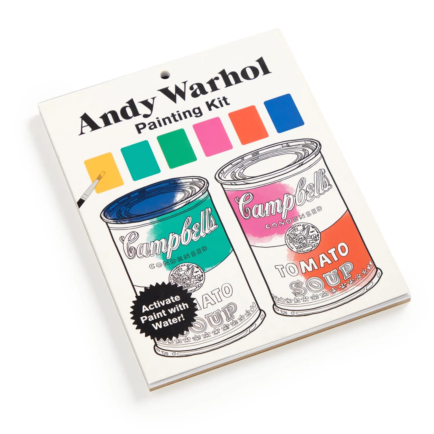 Mudpuppy Andy Warhol kit pictura 10 carduri acuarela