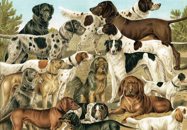 Mosaic Puzzles Loyal Companions puzzle lemn 100 piese câini