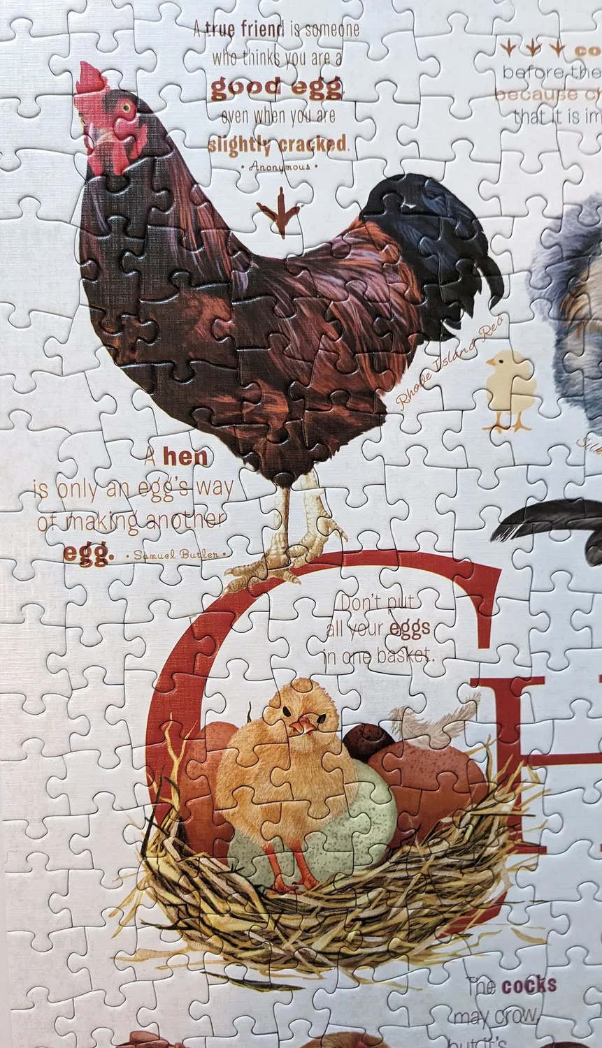 Cobble Hill Chicken Quotes puzzle 1000 piese găini