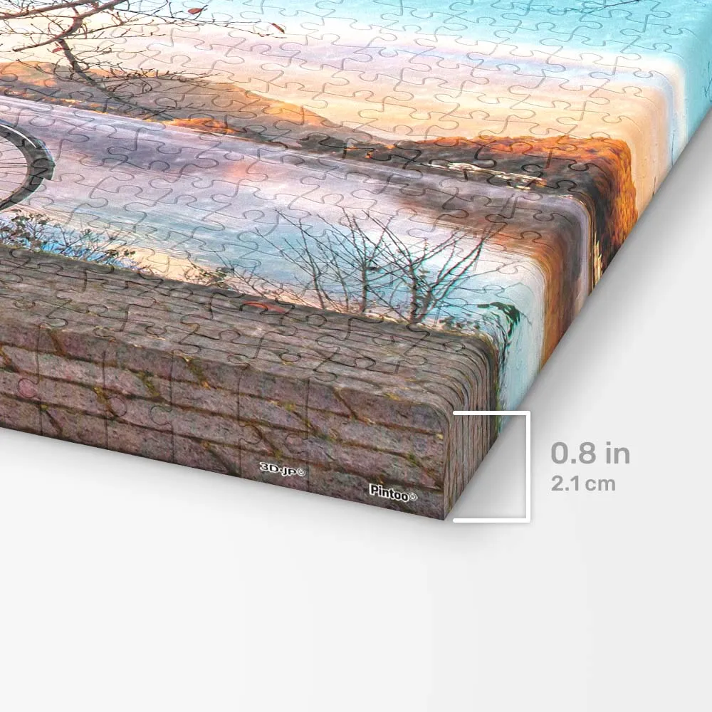 PieceRelax Puzzle Canvas Bicycle Lake HN1314 puzzle tablou lac
