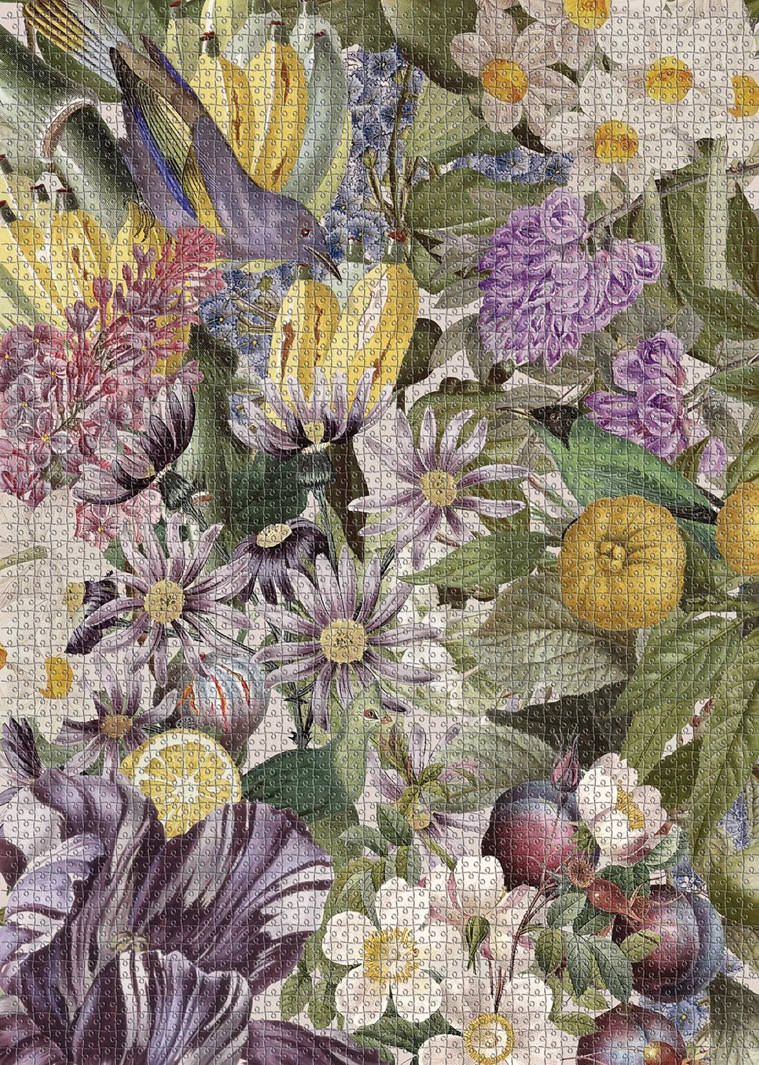 Muno Puzzle puzzle 3000 piese Purple Garden flori