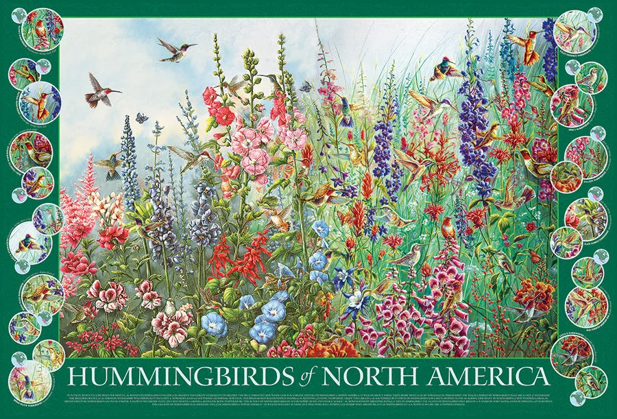 Cobble Hill Hummingbirds of North America puzzle 2000 piese pasari