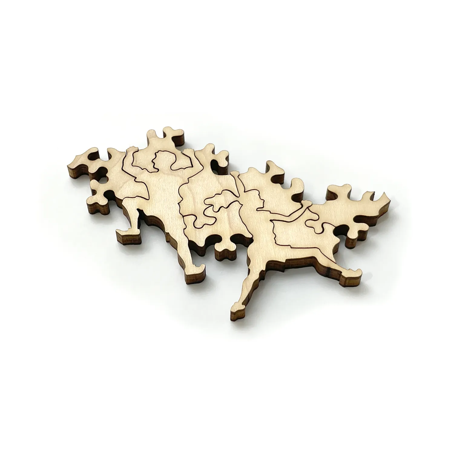 Hidden Piece Home in the Desert 1 puzzle 505 piese