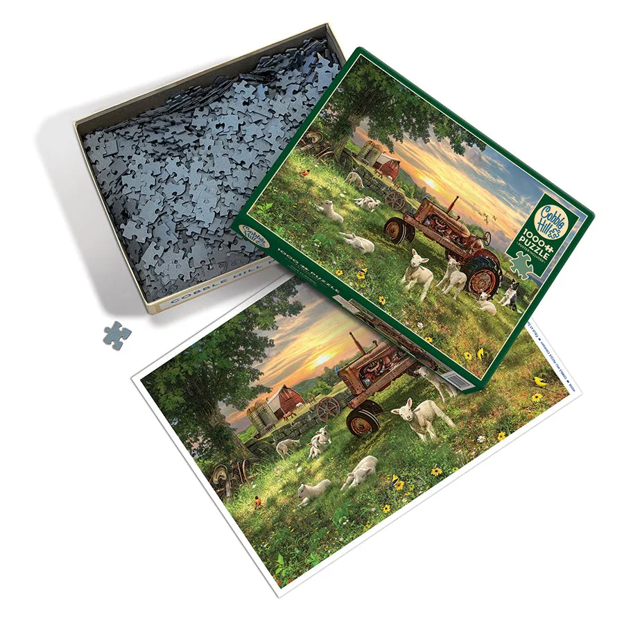 Cobble Hill Field at Sunrise puzzle 1000 piese ferma