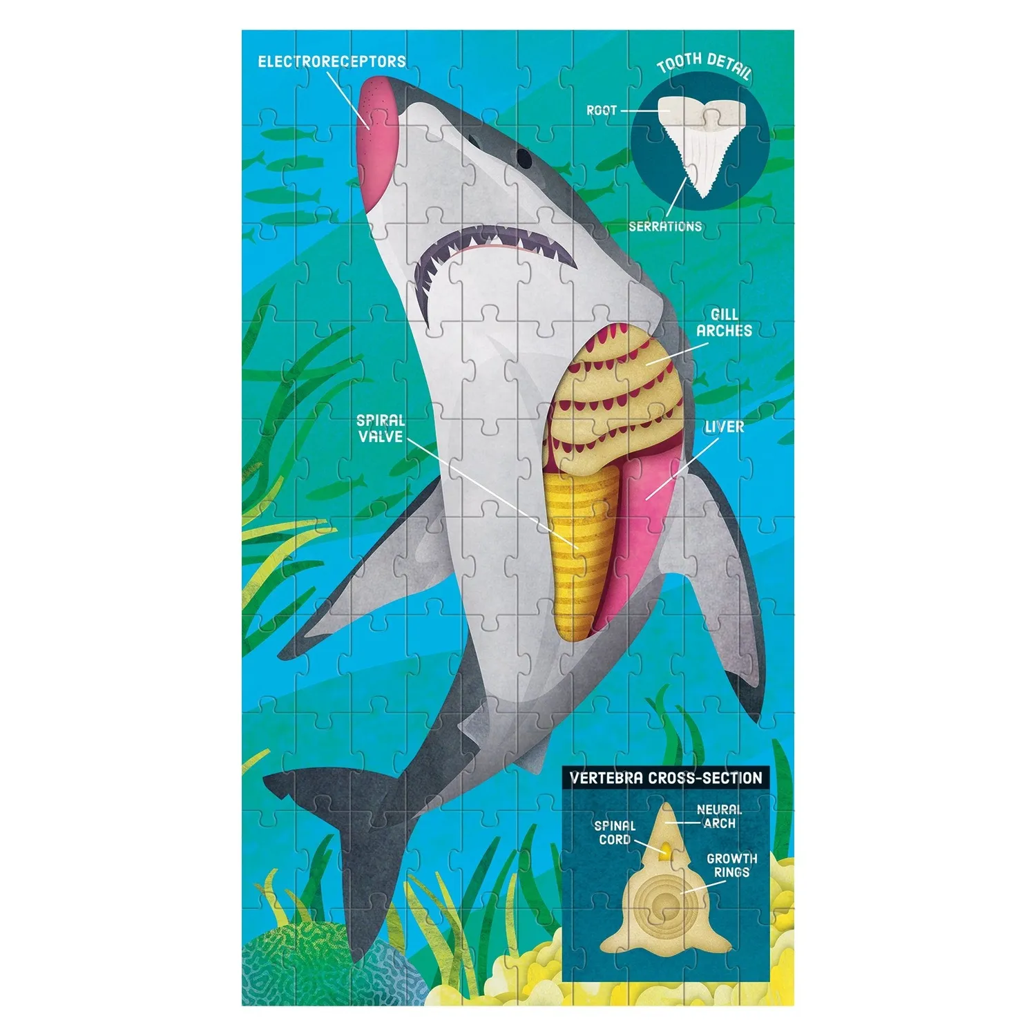 Mudpuppy Animal Anatomy set 3 puzzle-uri 100 piese