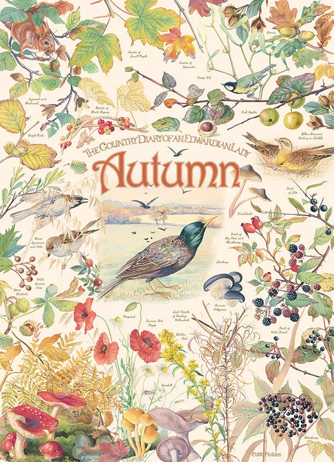 Cobble Hill Country Diary Autumn puzzle 1000 piese toamna