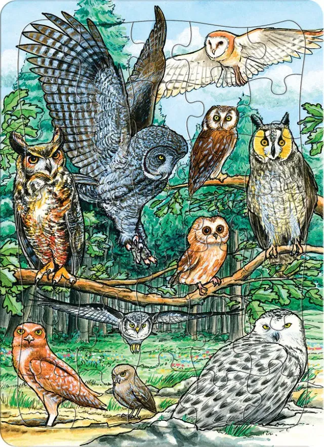 Cobble Hill North American Owls puzzle tava 35 piese copii