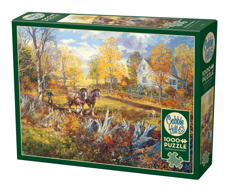 Cobble Hill New Beginning puzzle 1000 piese cai