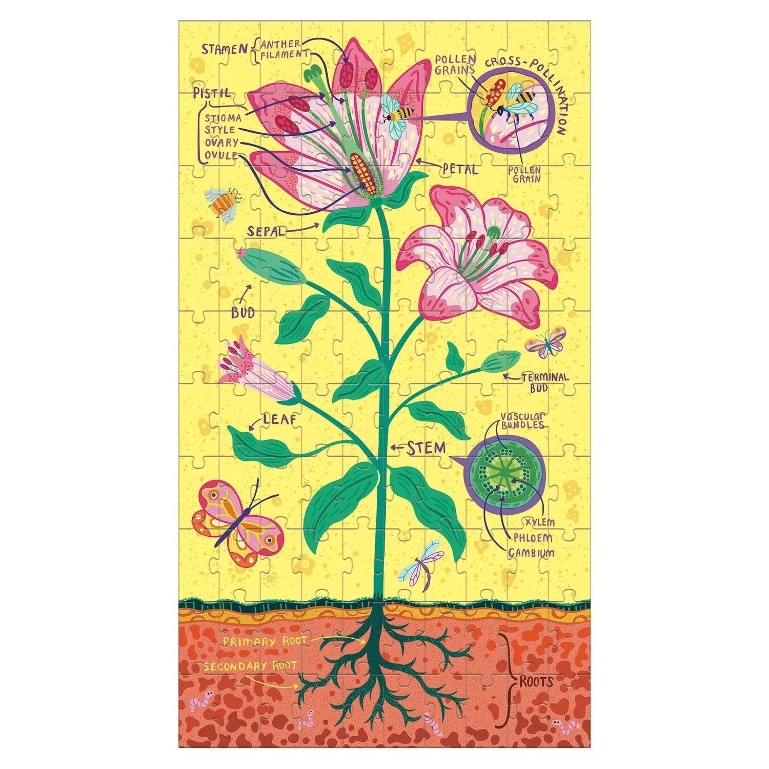 Mudpuppy Plant Anatomy puzzle copii 3x100 piese