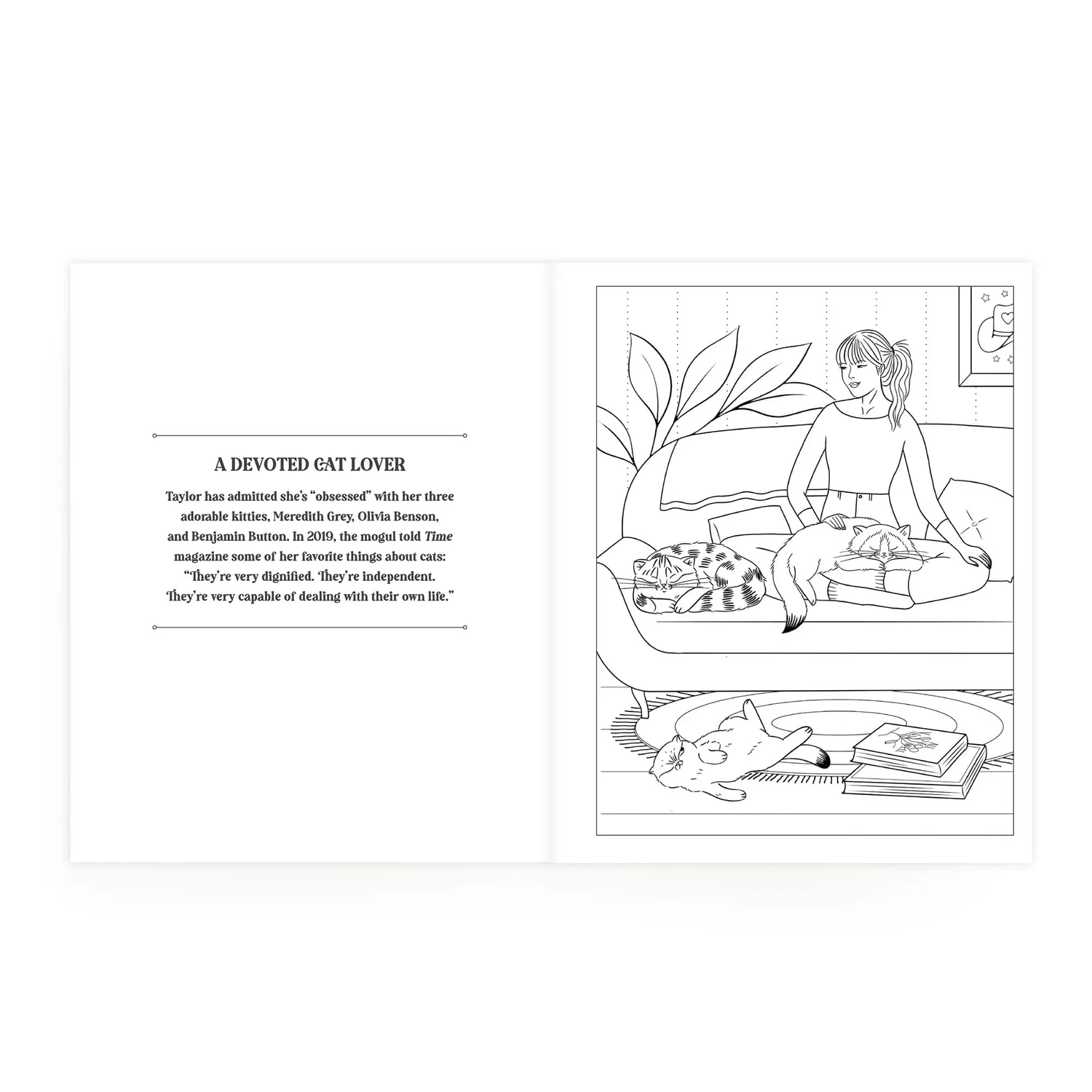 Mudpuppy Karma is Three Cats carte de colorat pisici