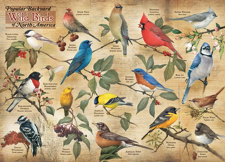 Cobble Hill Popular Backyard Wild Birds of North America puzzle 1000 piese