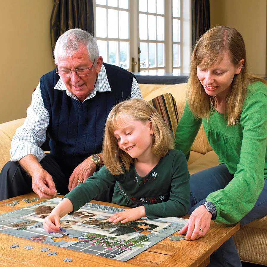 Cobble Hill Family Porch Pals puzzle 350 piese