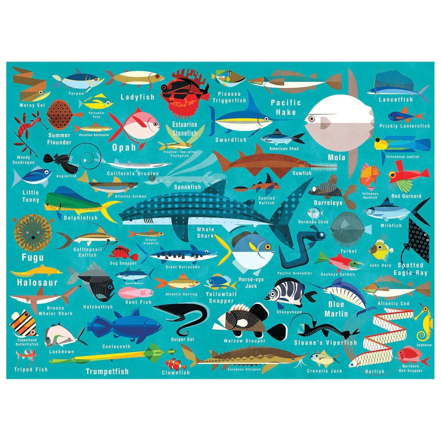 Mudpuppy Ocean Life puzzle 1000 piese pesti
