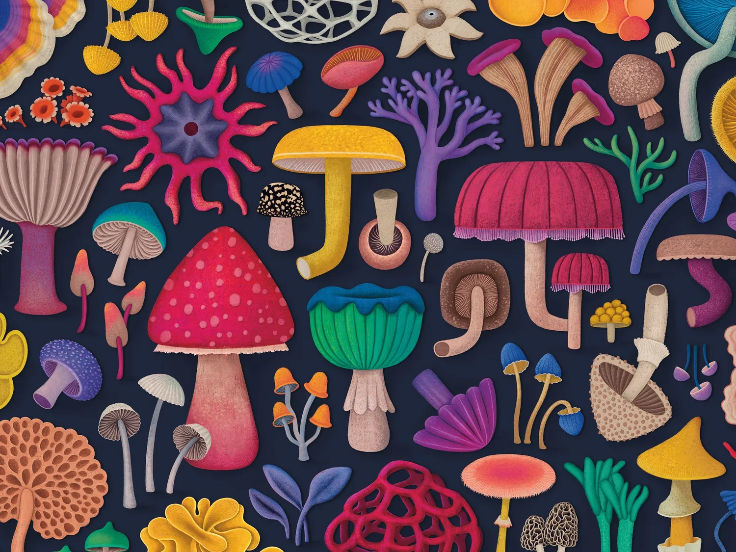 Ceaco Magical Mushrooms puzzle 300 piese ciuperci
