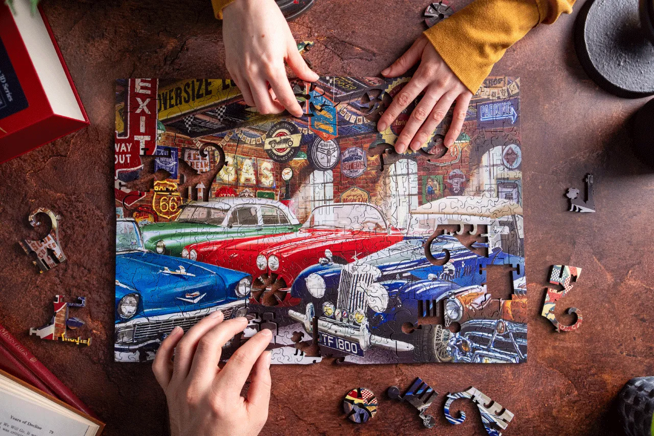 Mosaic Collector's Garage puzzle lemn 500 piese 3D